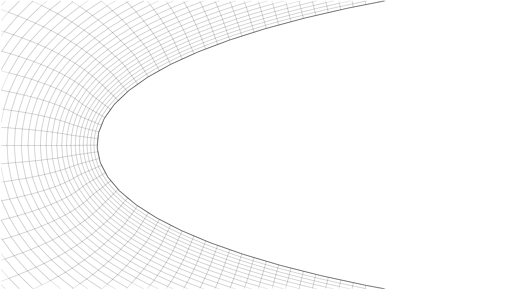 Mesh detail around the NACA0012 leading edge