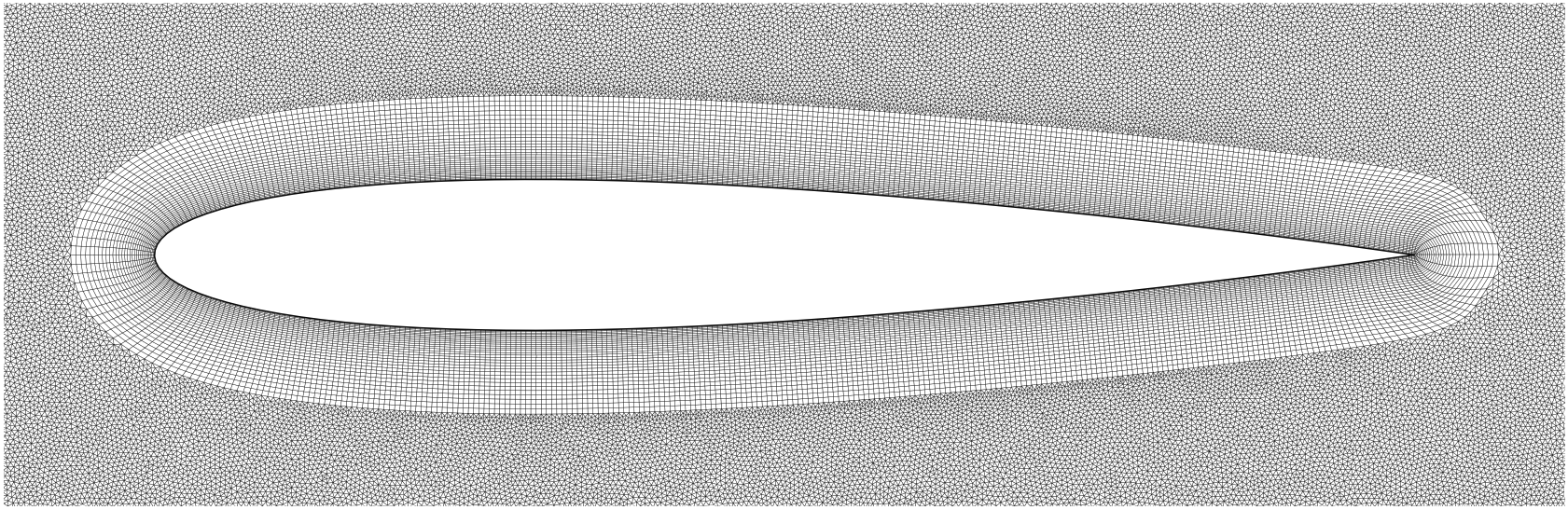 Final NACA0012 mesh overview